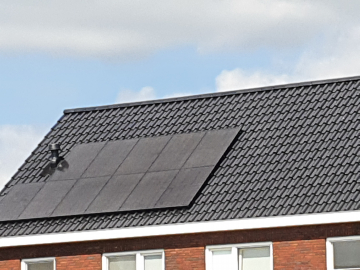 Zonnepanelen in Wilbertoord